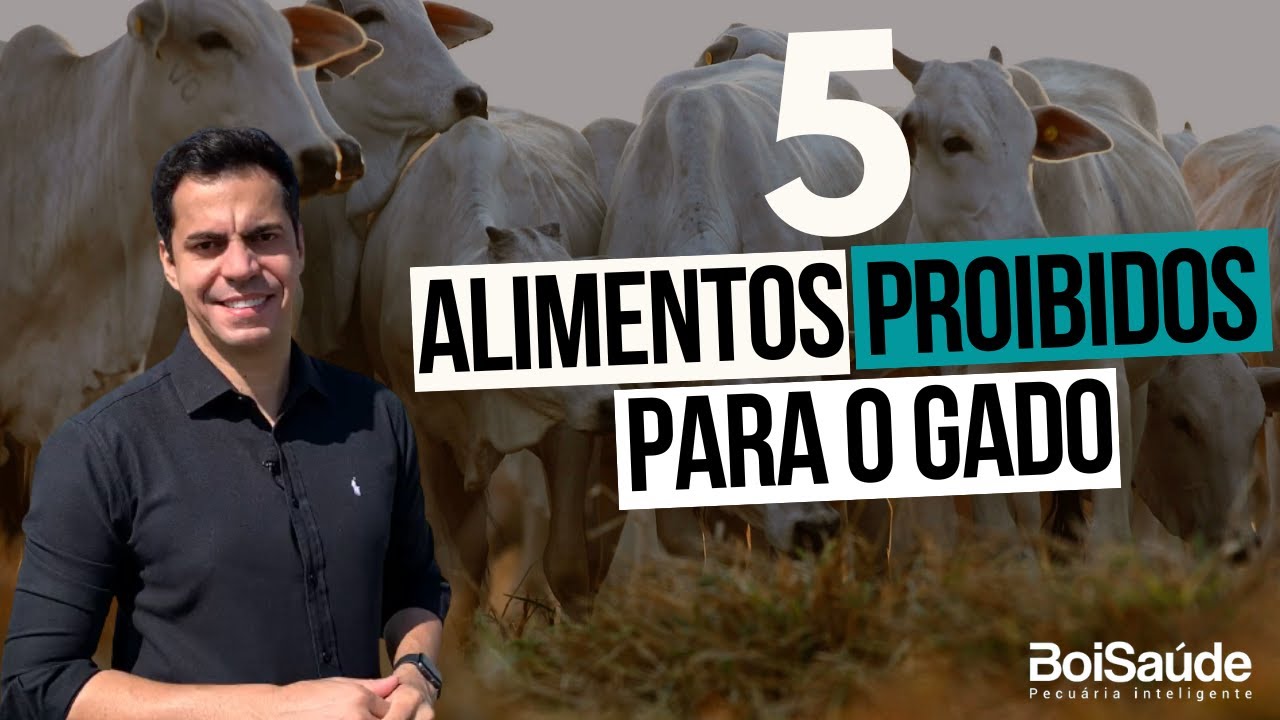 5 ALIMENTOS PROIBIDOS PARA O GADO.
