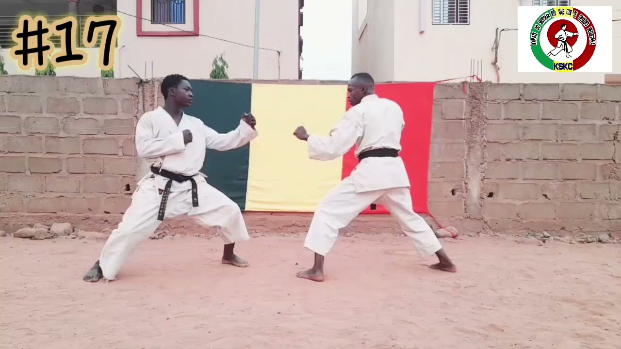 Résumé du bunkai Tekki Shodan 🥋 Nidan🥋 Sandan 🥋.🥋🥋🇲🇱🥋🇲🇱