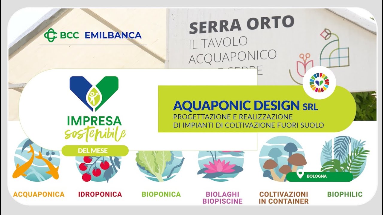 Coltivare in altezza e con i pesci