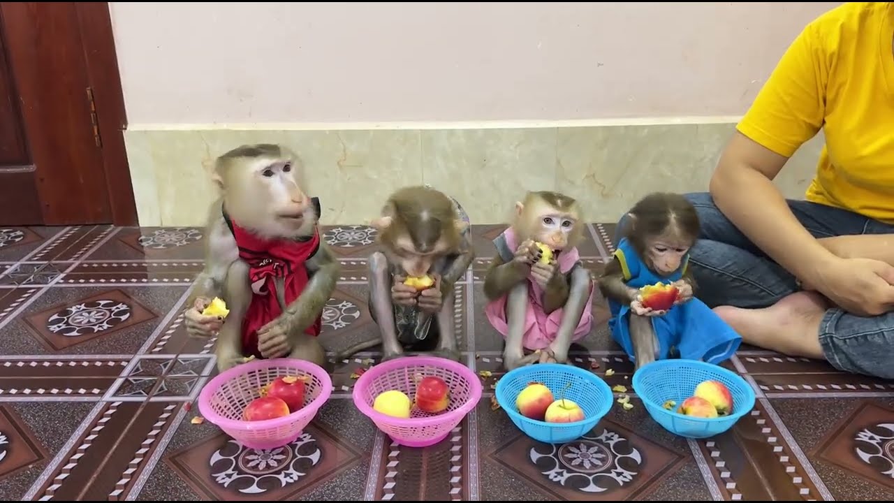 Brother & sister sit and eating apple sweet very yummy !