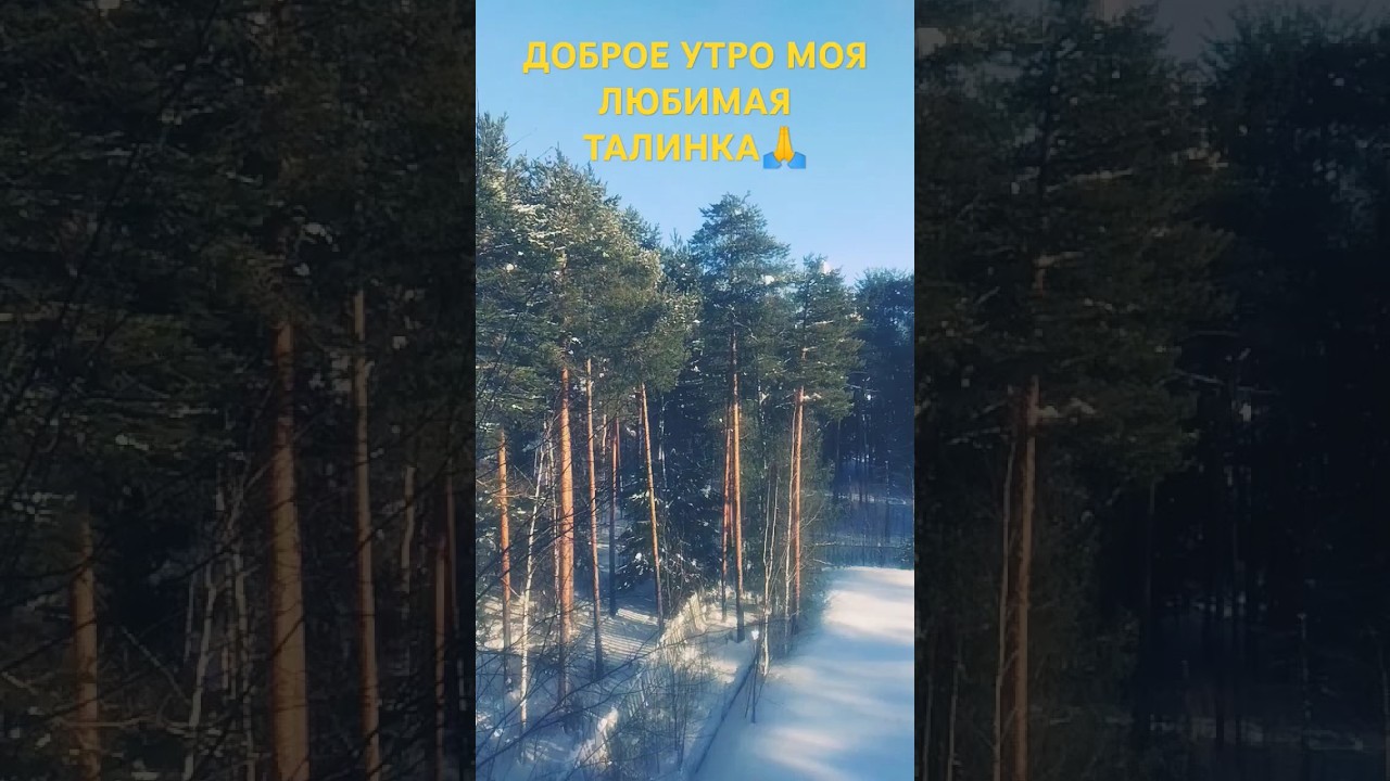 ДОБРОЕ УТРО МОЯ ЛЮБИМАЯ ТАЛИНКА🙏