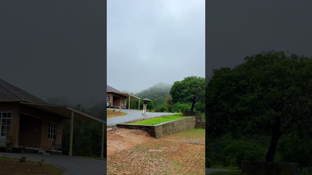 Beautiful Resort In Vagamon, Kerala🍃8.5 Acres #keraleeyar #vagamon #resorts #wagamon #keralatourism