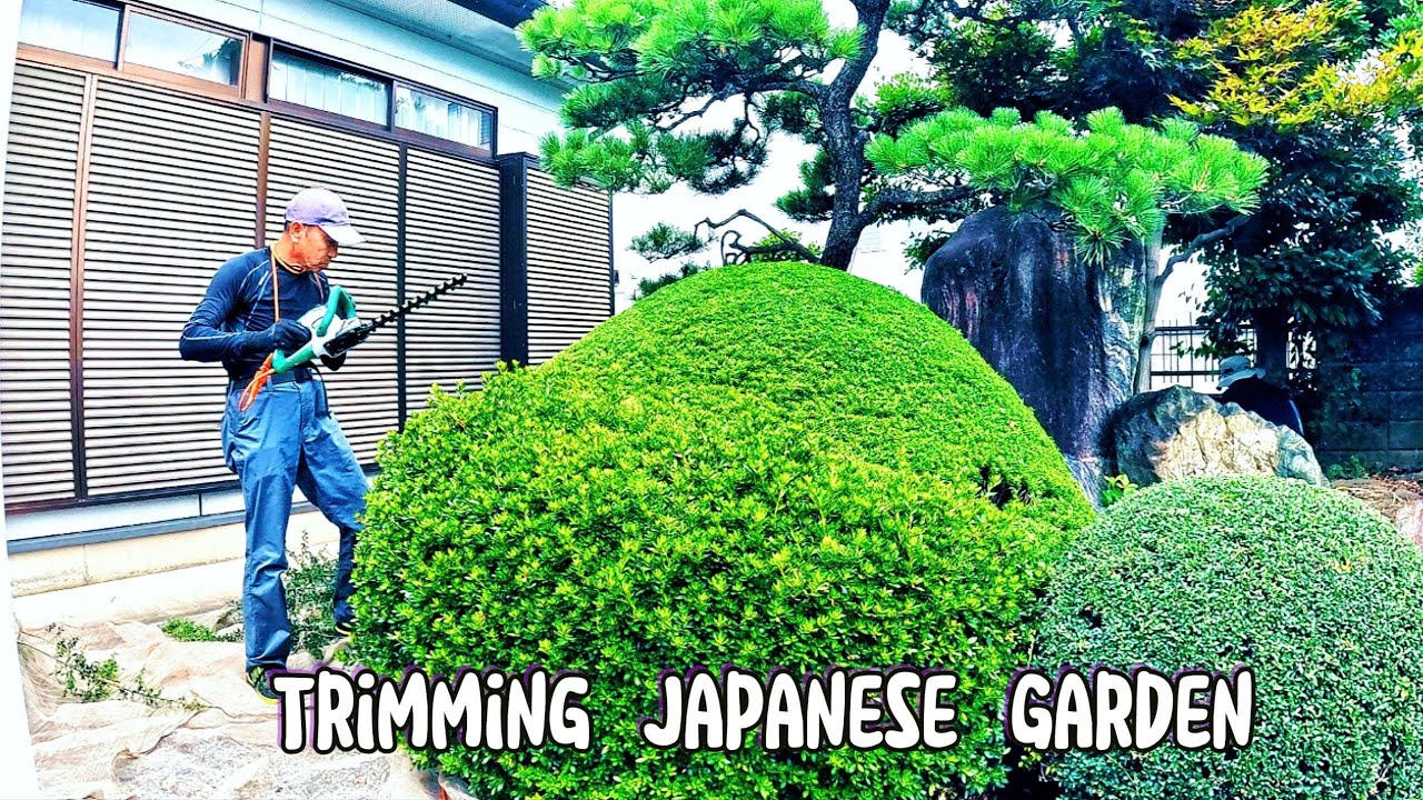 Garden Harmony Japanese Shrub Trimming