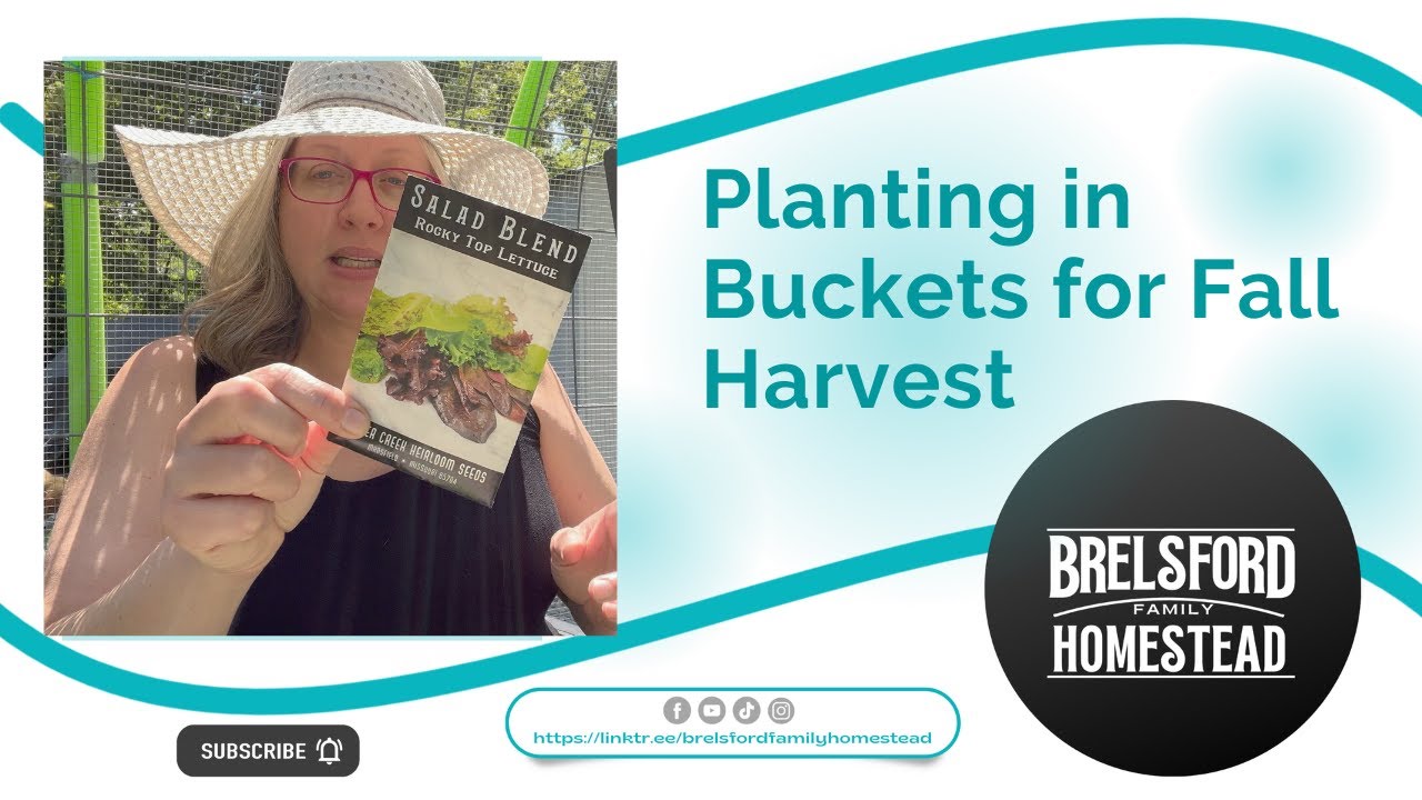 Planting Buckets For The GreenHouse - Brelsford Family Homestead