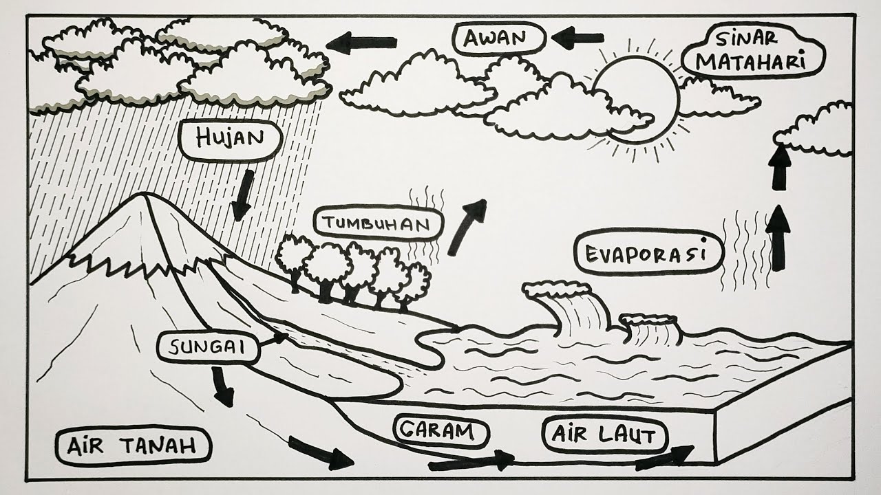 Menggambar siklus air - GAMBAR SIKLUS AIR