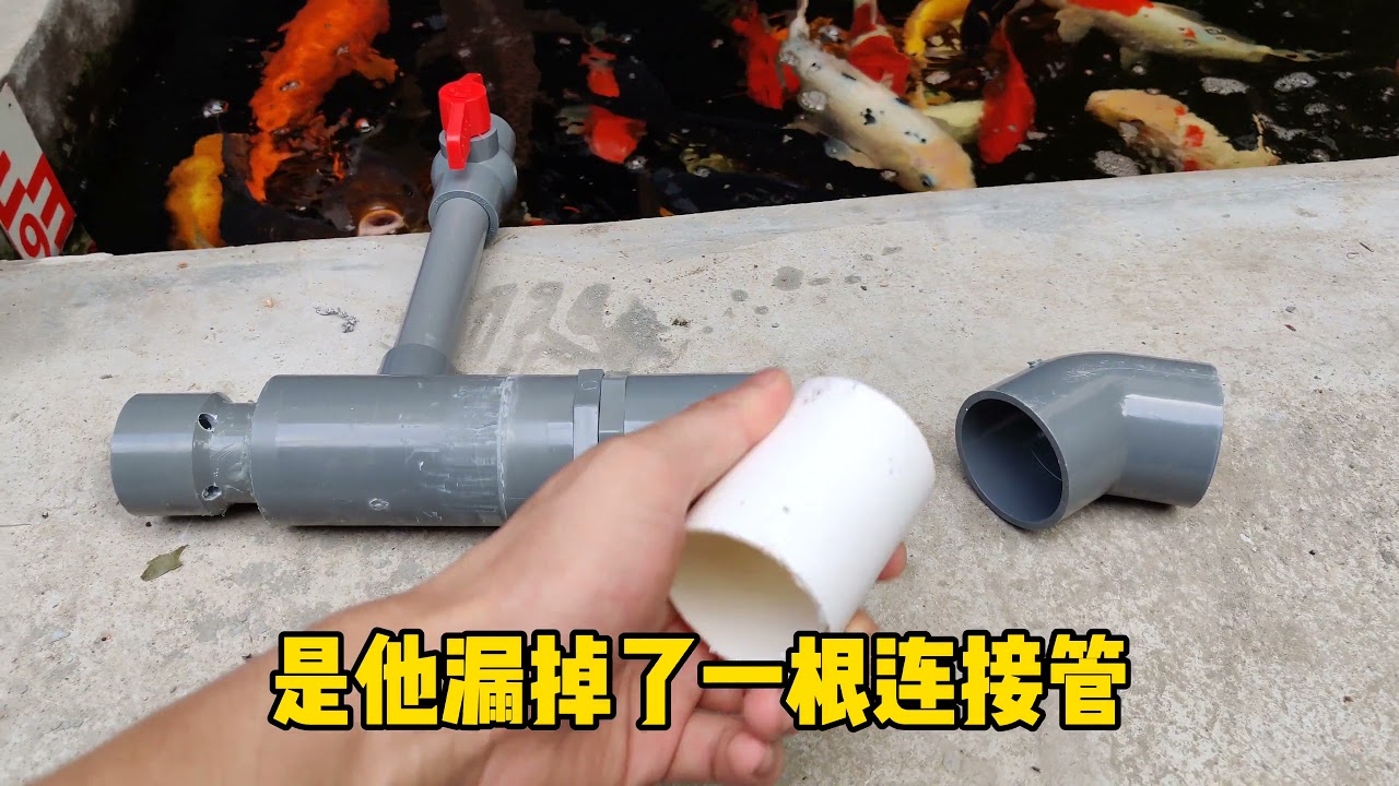 白嫖了粉丝一个鱼池增氧炮，能省一个氧气泵，连说真香