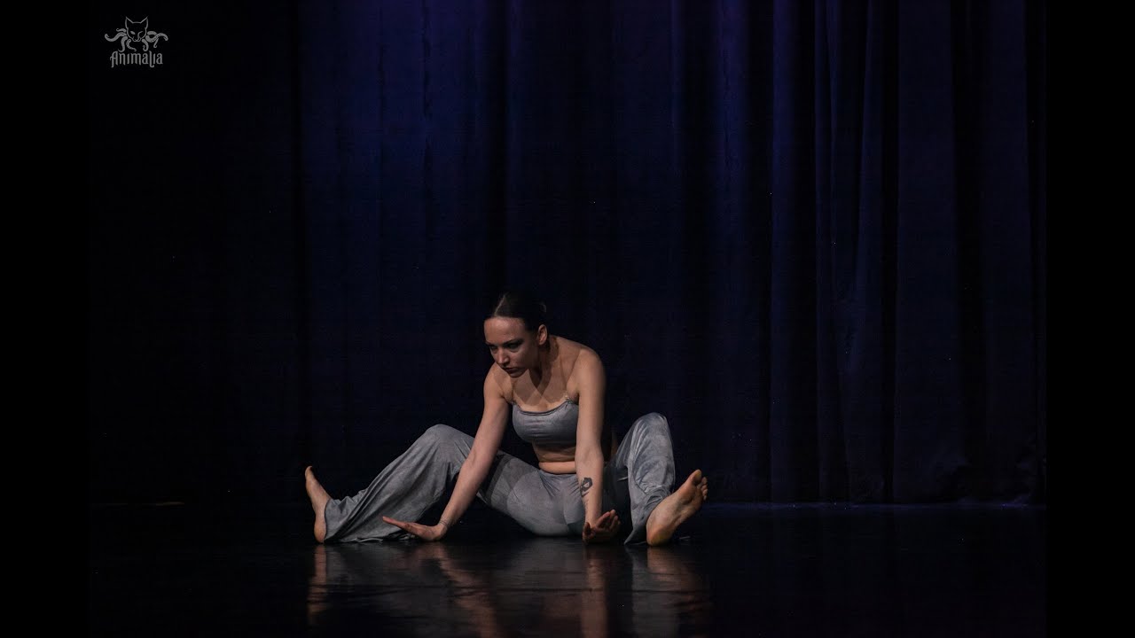 CLAY | ALISA ARALOVA | J-TEAM FEST 2024 | ANIMALIA SHOW