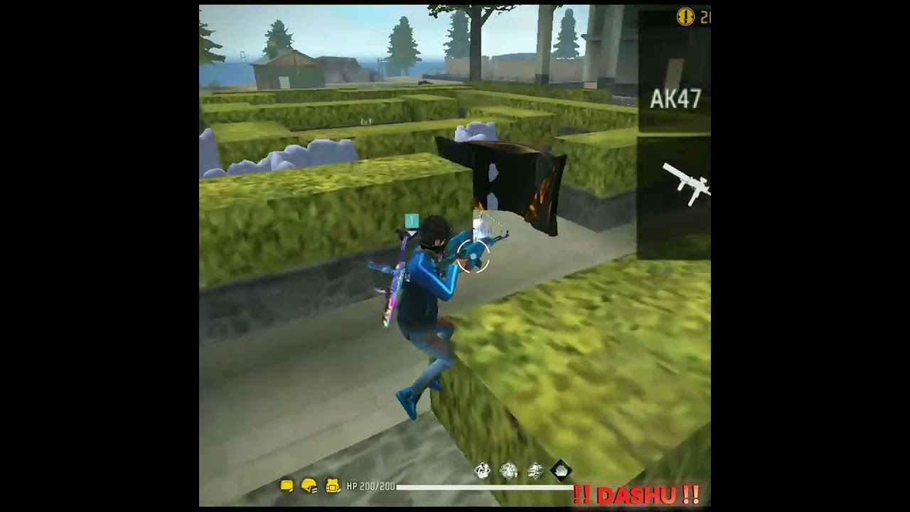 #dashu