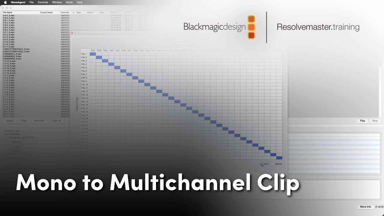 Mono to Multichannel Clip