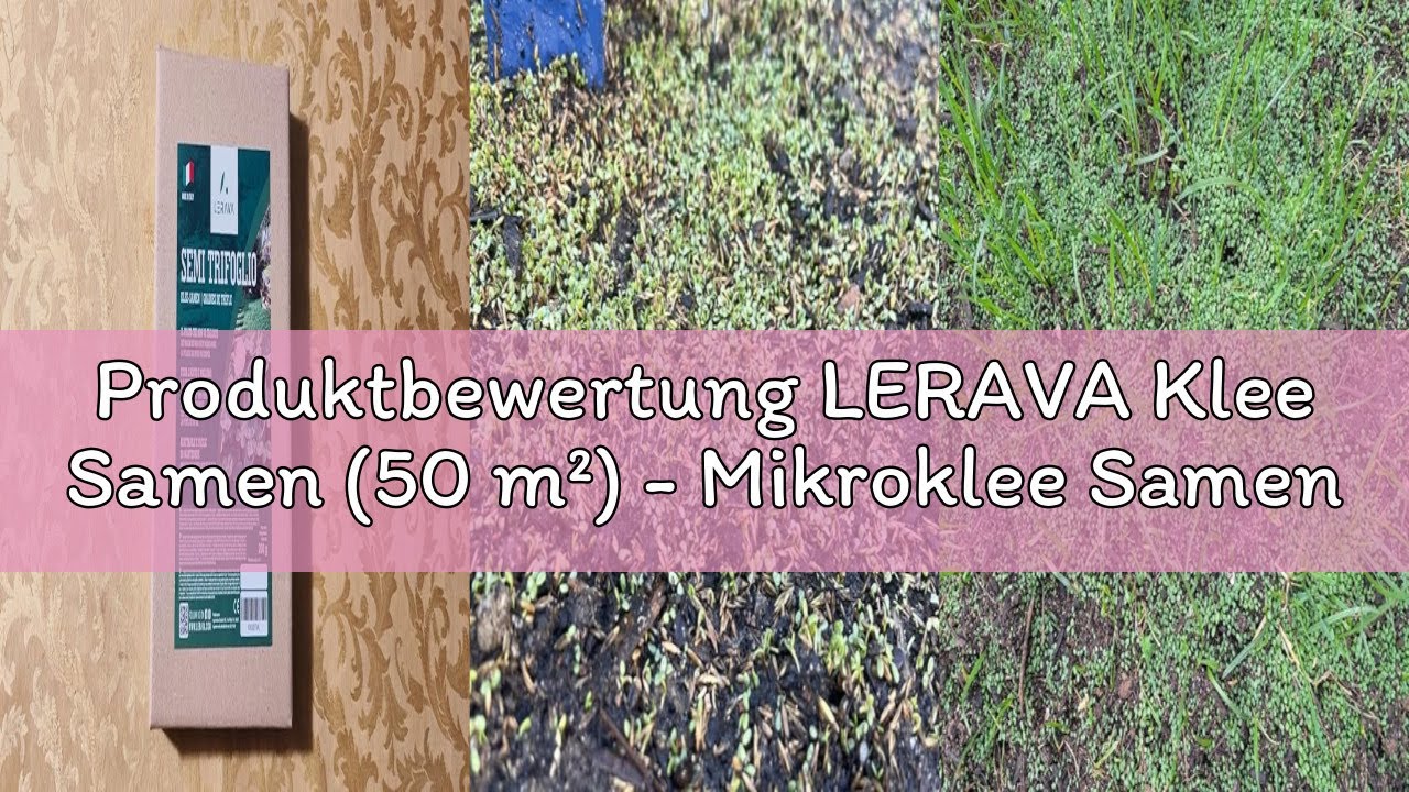 Produktbewertung LERAVA Klee Samen (50 m&sup2;) - Mikroklee Samen m&auml;hfrei - Wei&szlig;klee f&uuml;r schattige und so