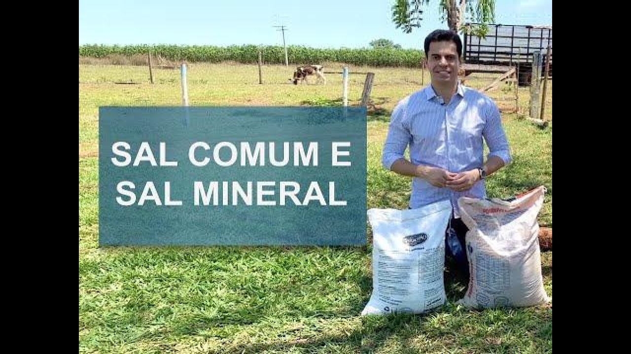 DIFEREN&Ccedil;AS ENTRE O SAL COMUM E O SAL MINERAL PARA O GADO