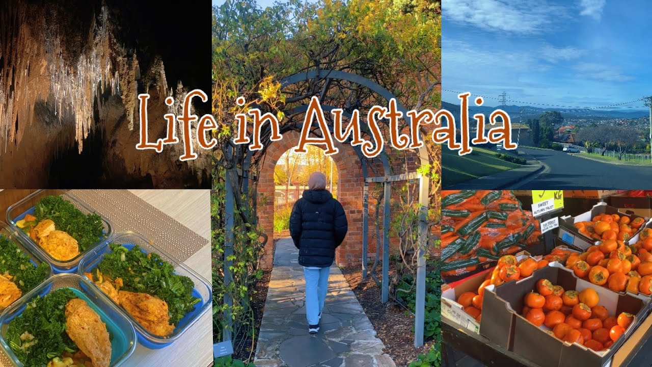 Life in the Countryside of Australia | Simple living with nature | Cooking & Shopping | Autumn vibes