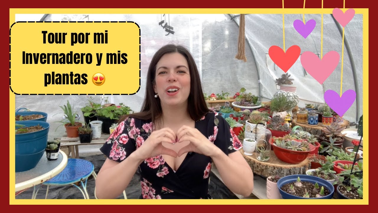 Tour por el invernadero y mis plantas 😁 por fin tengo mis plantas en mi invernadero 😍😍😍😍