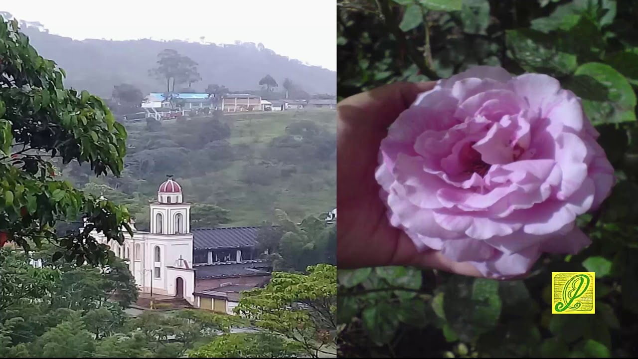 TE PUDE OLVIDAR   LOS ALEGRES CORDILLERA