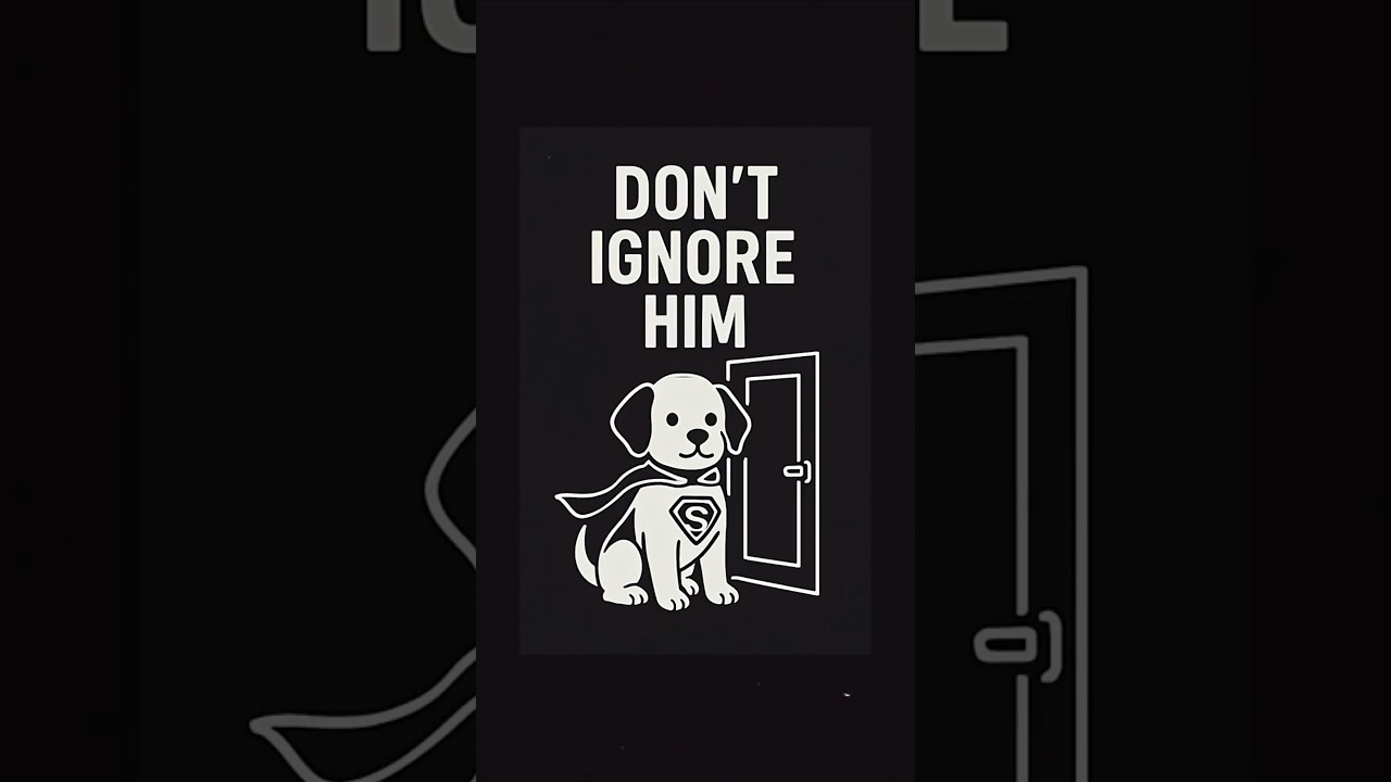 Never Fly With the Dog Alone