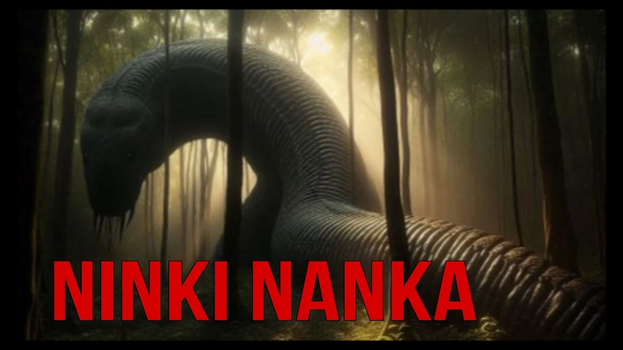 DRAG&Oacute;NES DE PANTANO | &Aacute;FRICA 