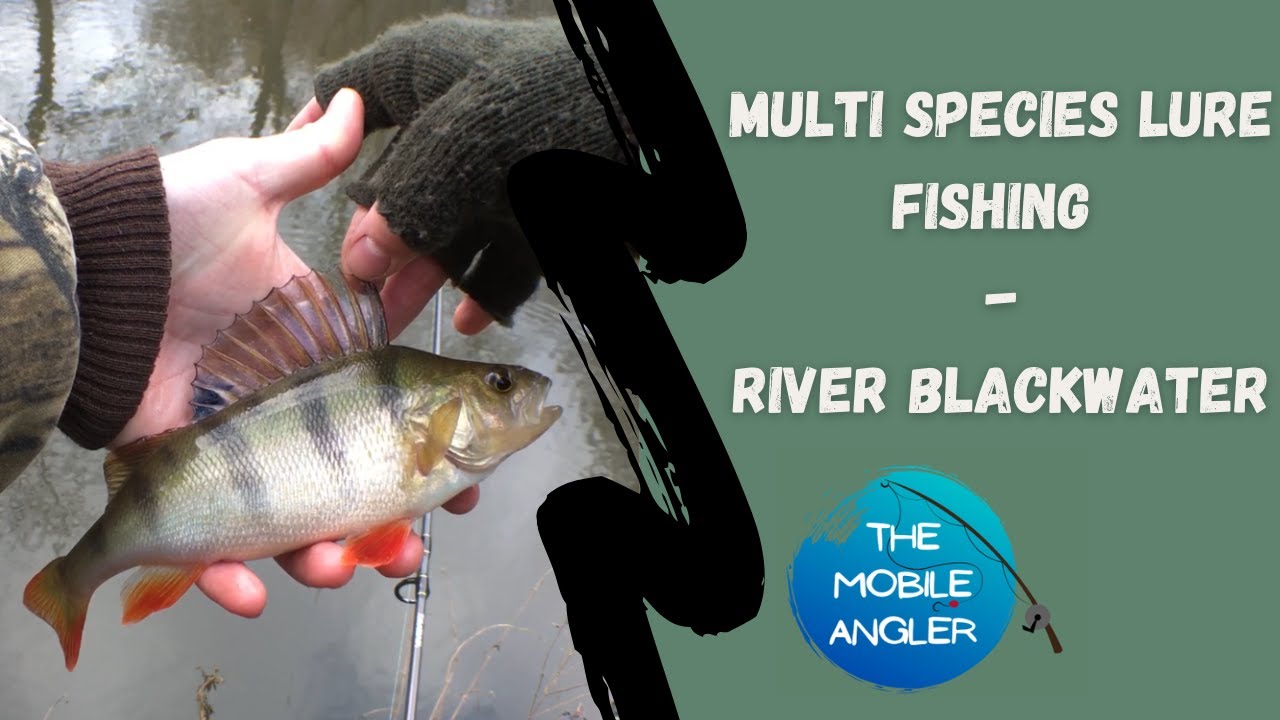 Multi Species Lure Fishing - River Blackwater