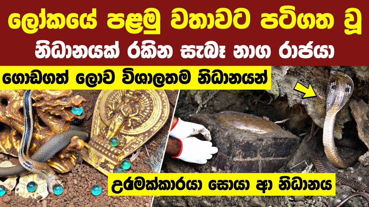 නිධන් රකින සැබෑ නාග රාජයෙක් සහ ලොව ගොඩගත් විශාලතම නිධාන 4ක් | 04 Biggest Treasures Ever Discovered