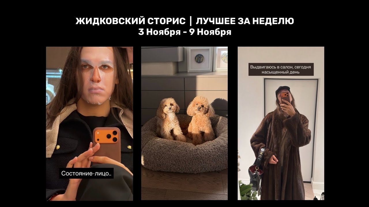 Жидковский сторис. Лучшее за неделю. 3 Ноября - 9 Ноября