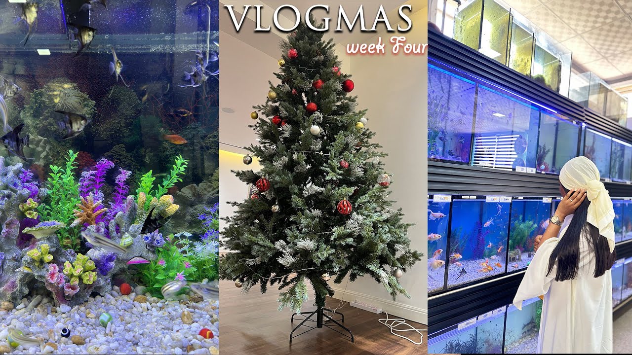 🎄✨VLOGMAS WEEK FOUR: A Chill Christmas | Spa date with Hubby | Chit-Chat | Getting pedicure|Aquarium