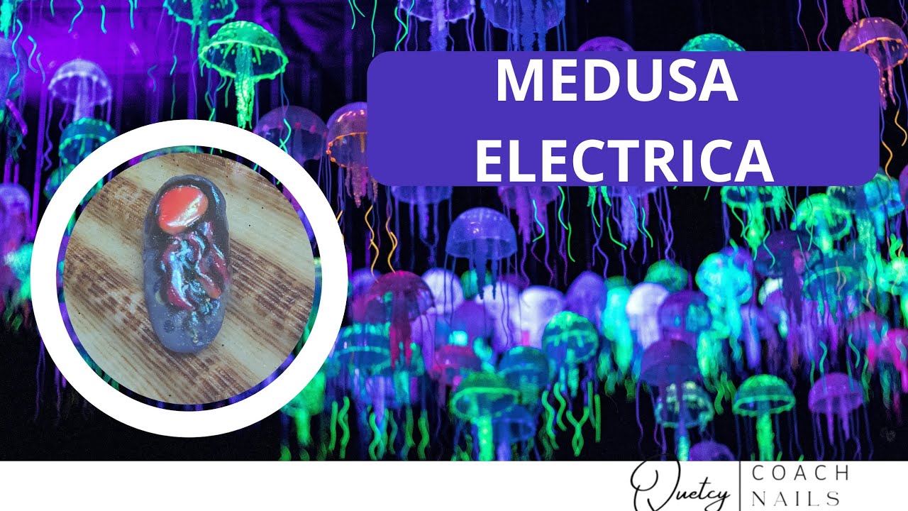 Medusa Electrica