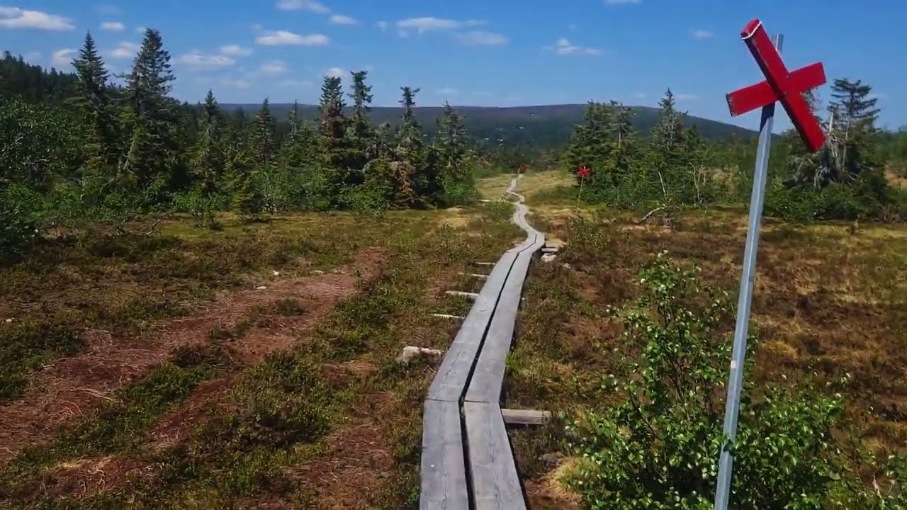 Wandelen Door De Zweedse Tundra