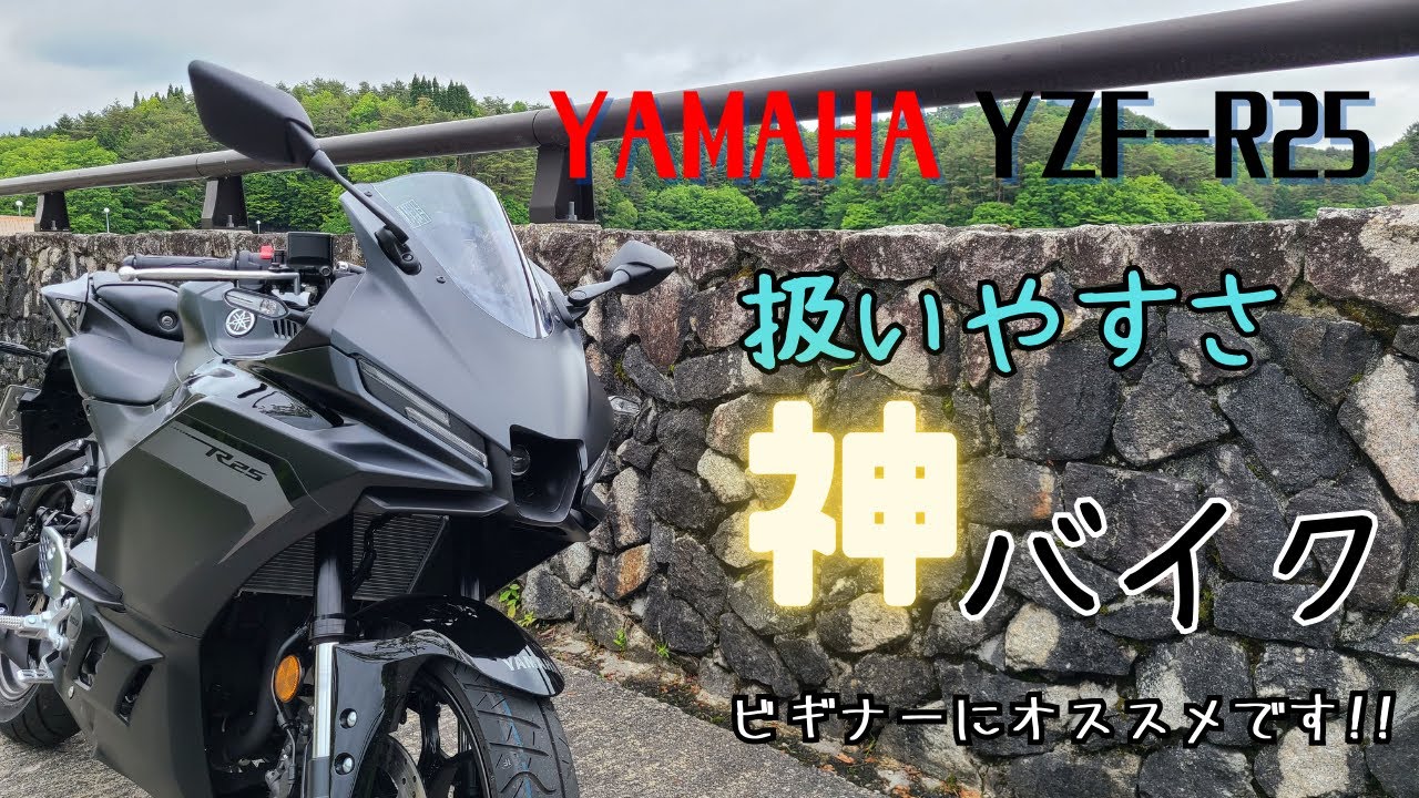 【優しい…】YAMAHA YZF-R25を試乗インプレ【ゆっくりバイクインプレ】