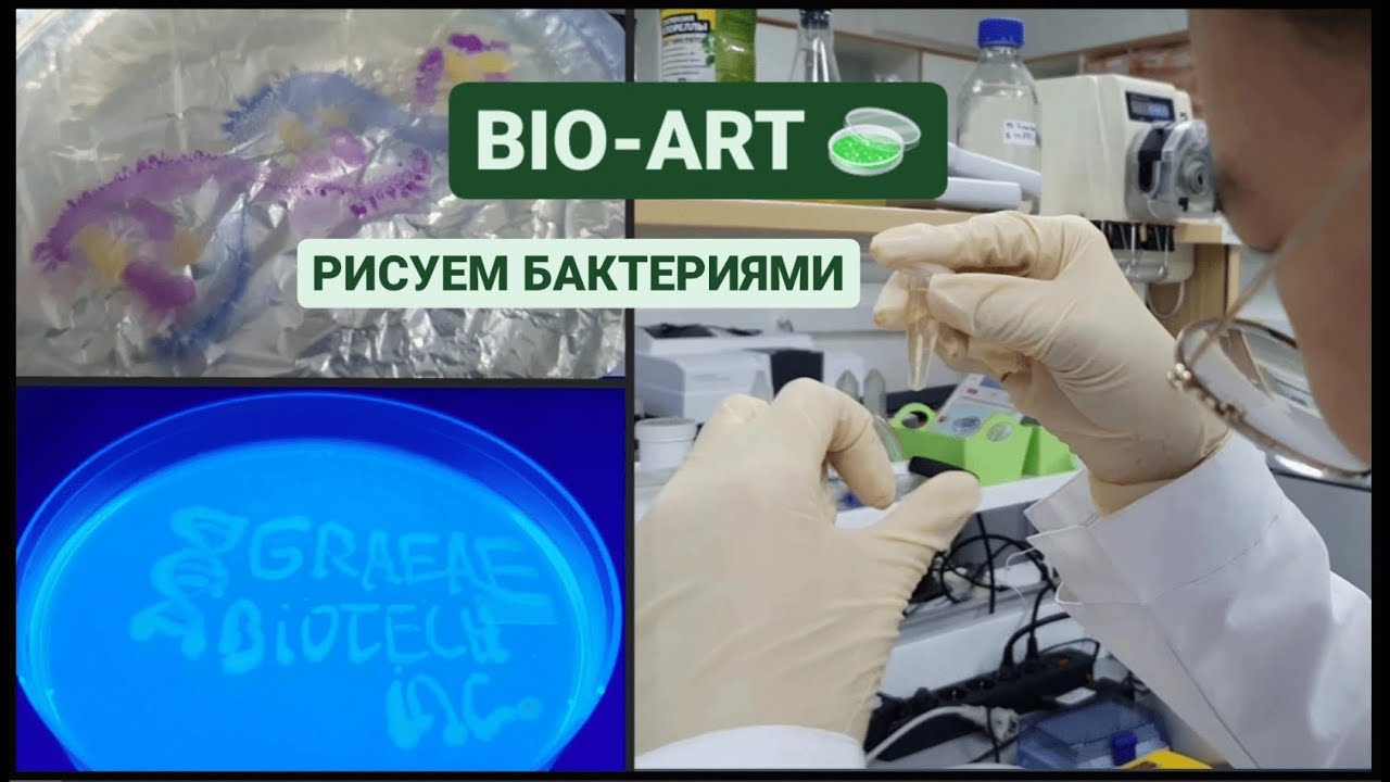 BIO-ART // Рисуем бактериями // Живые полотна | Graeae