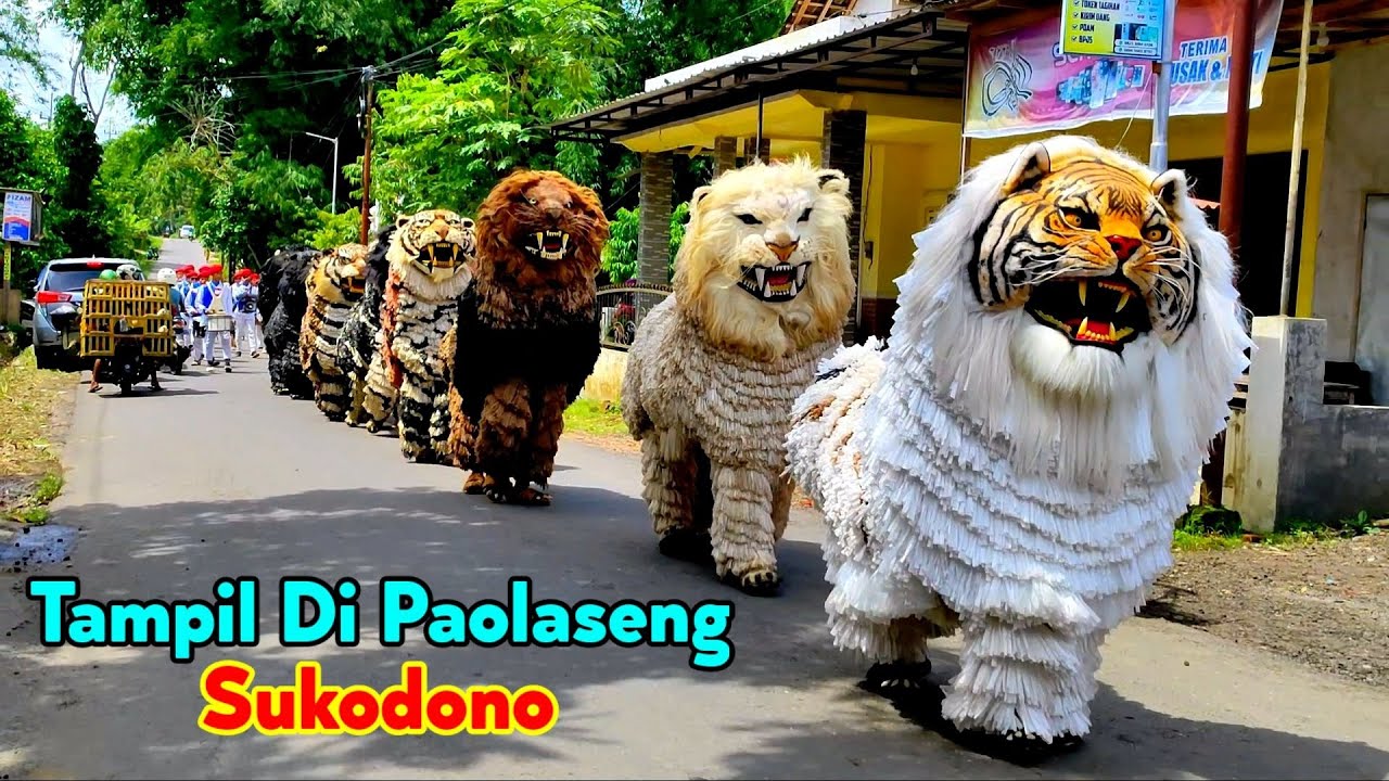 FULL Can macanan Singo Raung cilik terbaru Dan AL AZHAR Di undang acara KHITANAN Tampil Di sukodono