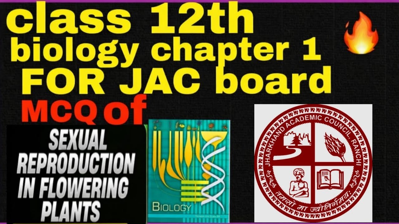 Class 12 chapter 1 multiple choice questions 