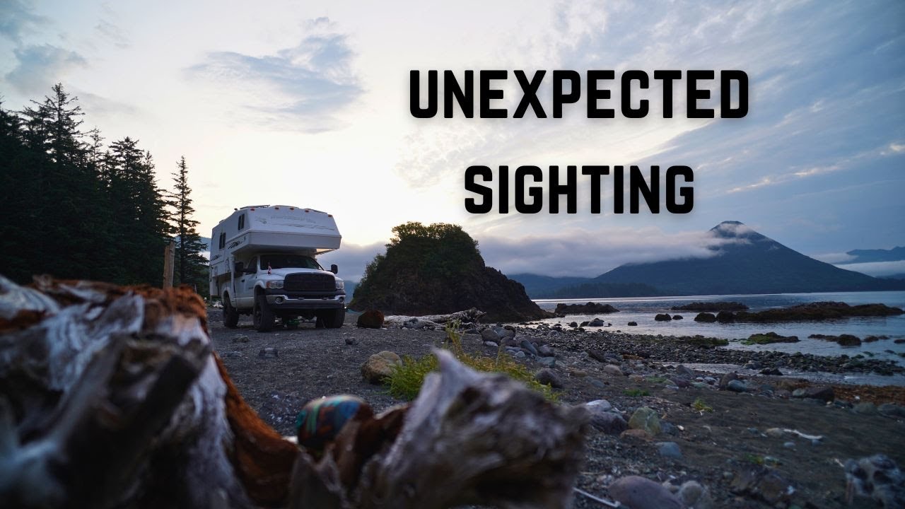 BEAR Came Into Camp! Remote Truck Camping Down By The OCEAN.