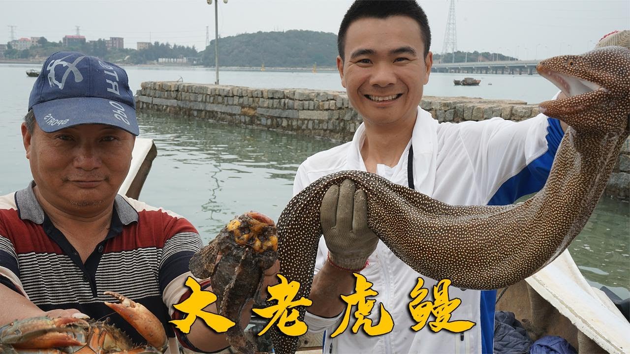 阿烽收蟹笼发大财，大老虎鳗都抓到了，这次又能卖个2000多