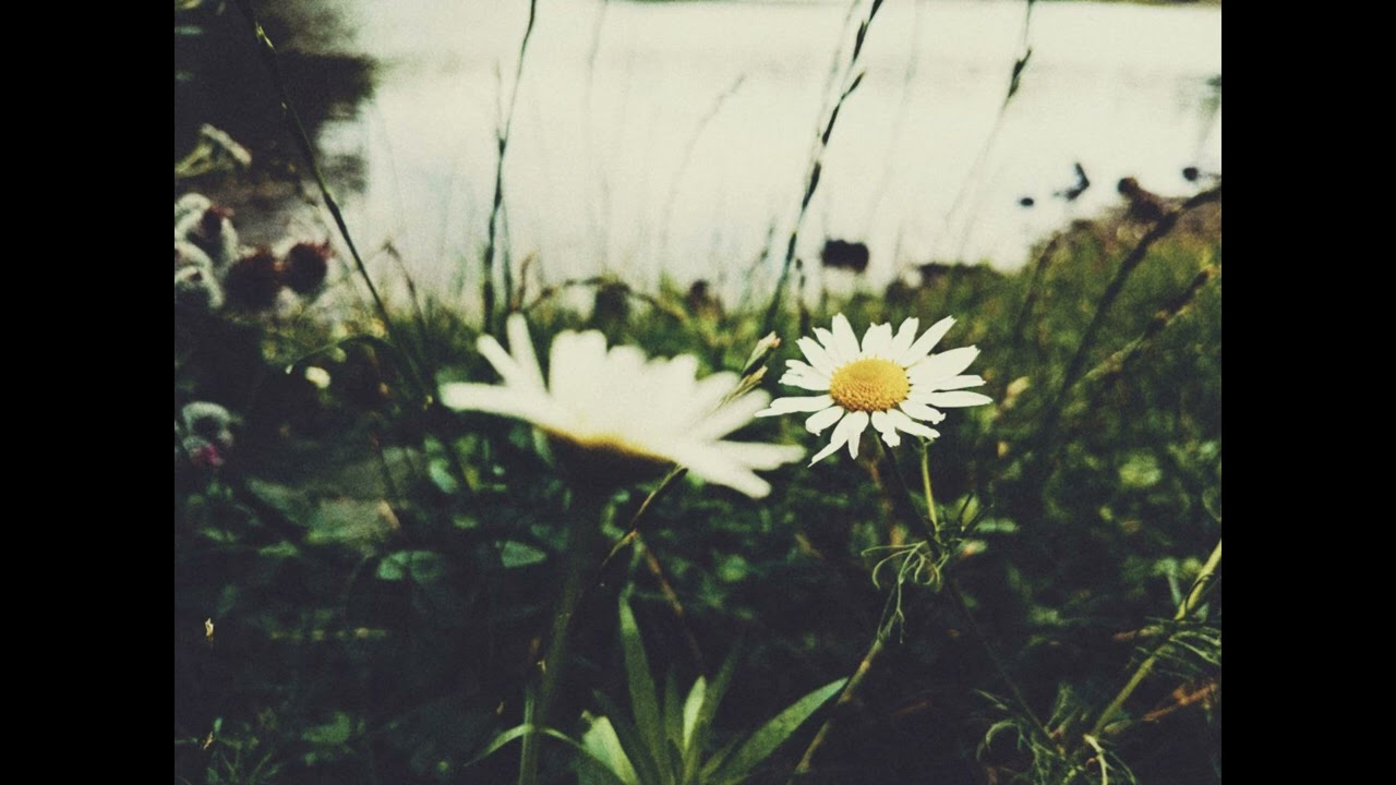 Sunbyonic - I spent this Summer with You