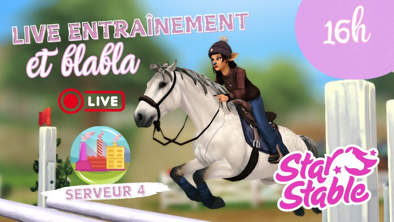 ENTRAÎNEMENT & BLABLA - Serveur 4