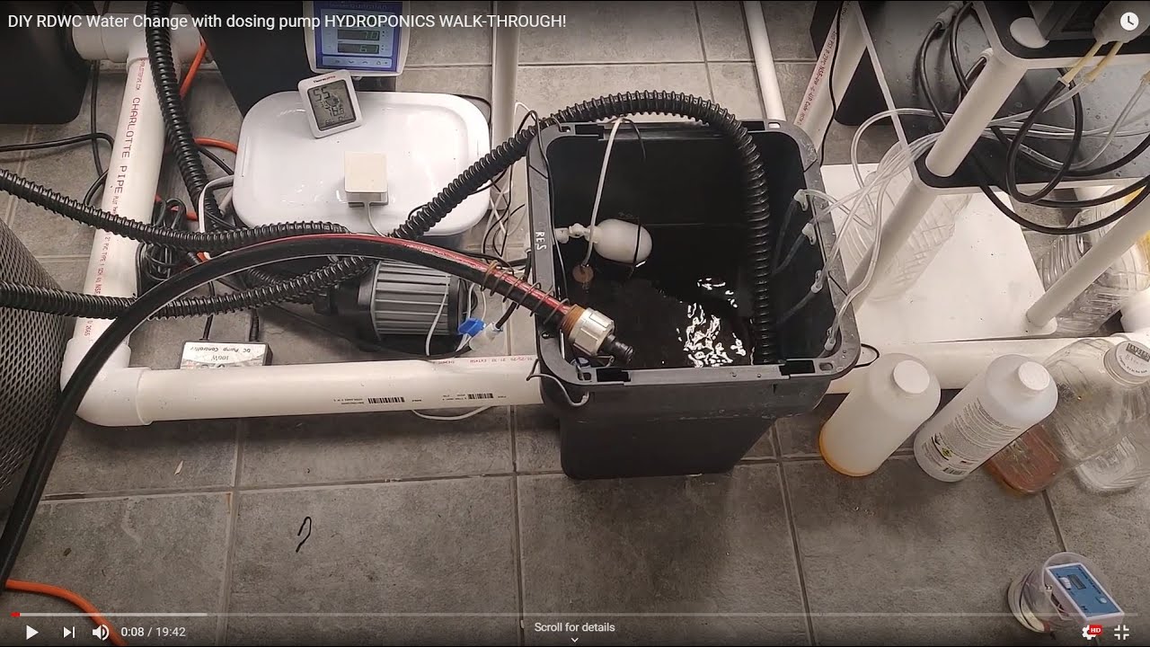 DIY RDWC Water Change with dosing pump HYDROPONICS WALK-THROUGH!