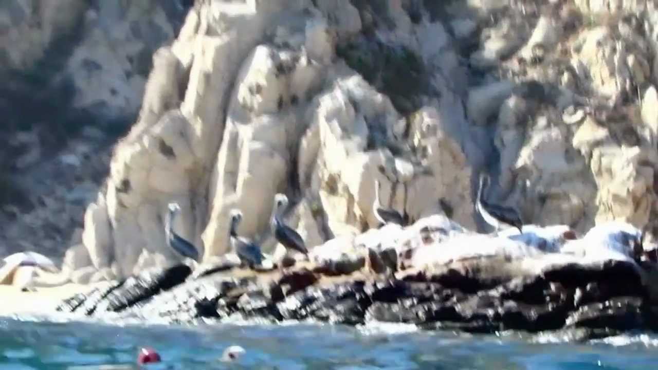 Cabo San Lucas Mexico scuba diving trip HD.mov