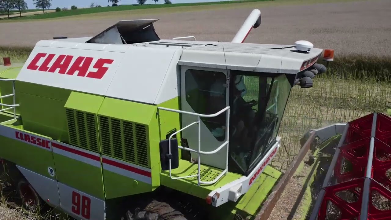 Żniwa Rzepaczane 2024 3X Claas