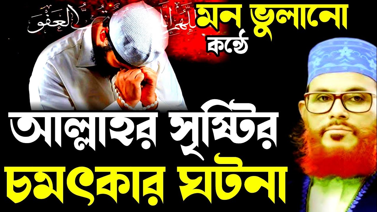 আল্লাহর সৃষ্টির চমৎকার ঘটনা/আল্লামা দেলোয়ার হোসাইন সাঈদী/Allama Delowar Hussain sayeedi Bangla Waz