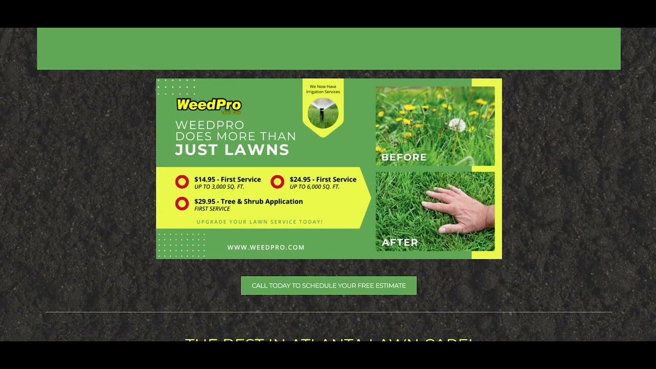 Professional Lawn Care Service in Alpharetta, GA | Weed Pro Lawn Care