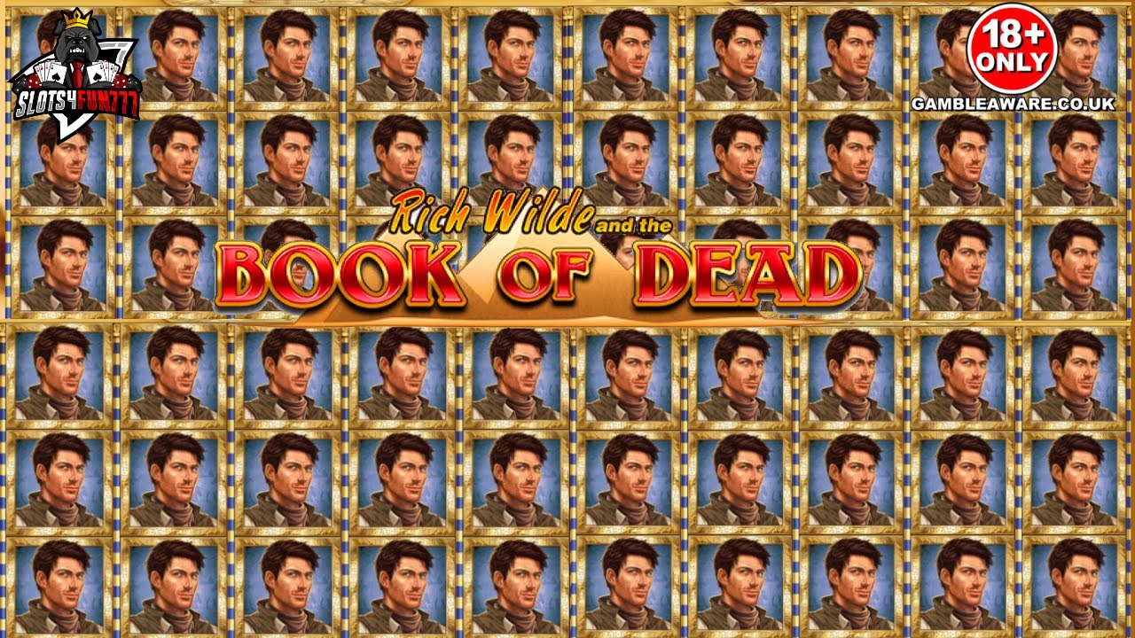 Book of Dead slot. Insane Win