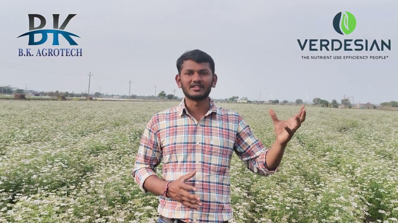 Take Off Calci Phite – પાક માટે પોષણ અને રક્ષણ બંને