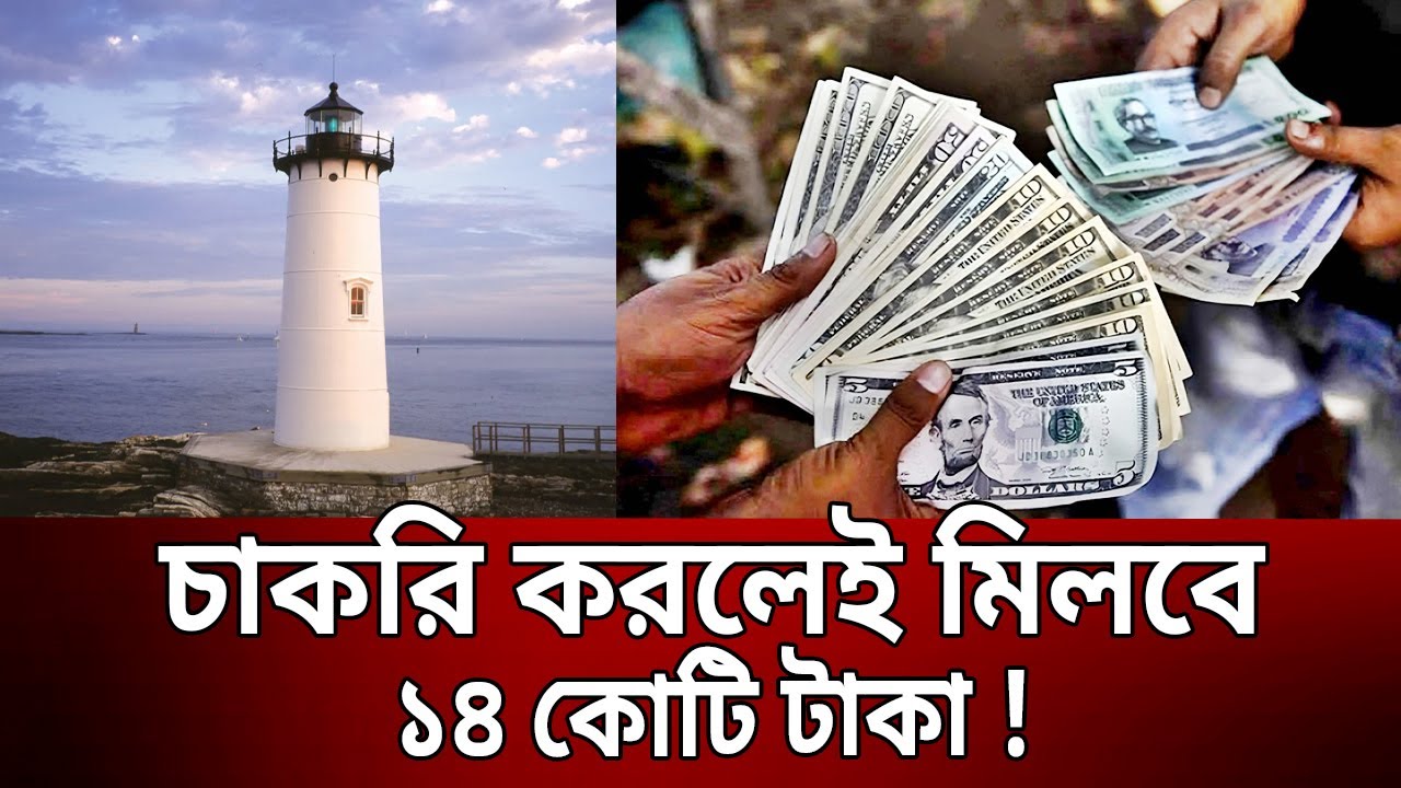 চাকরি করলেই মিলবে ১৪ কোটি টাকা ! | Light house | Bangla News | Mytv News