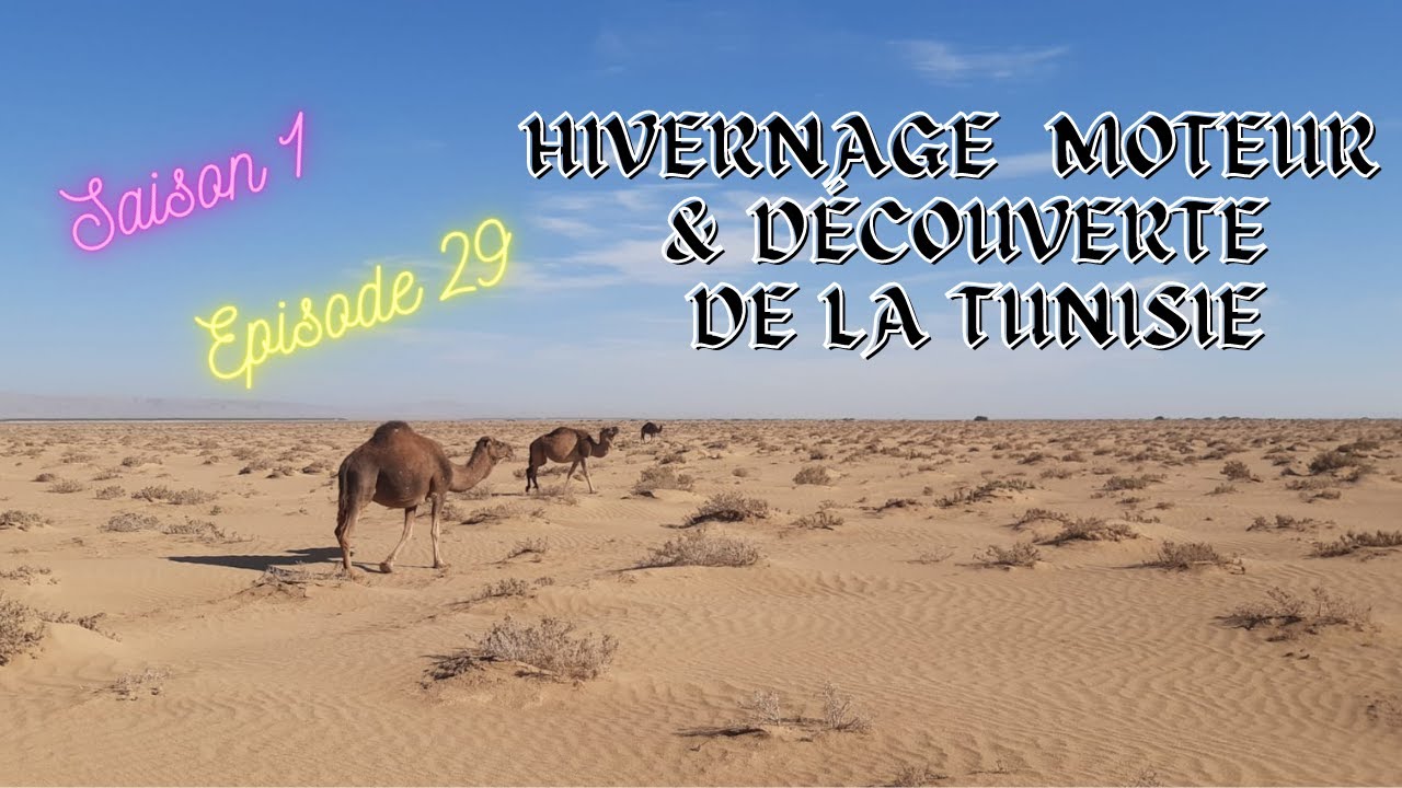 Hivernage et visite de la Tunisie ⛵ 🐪