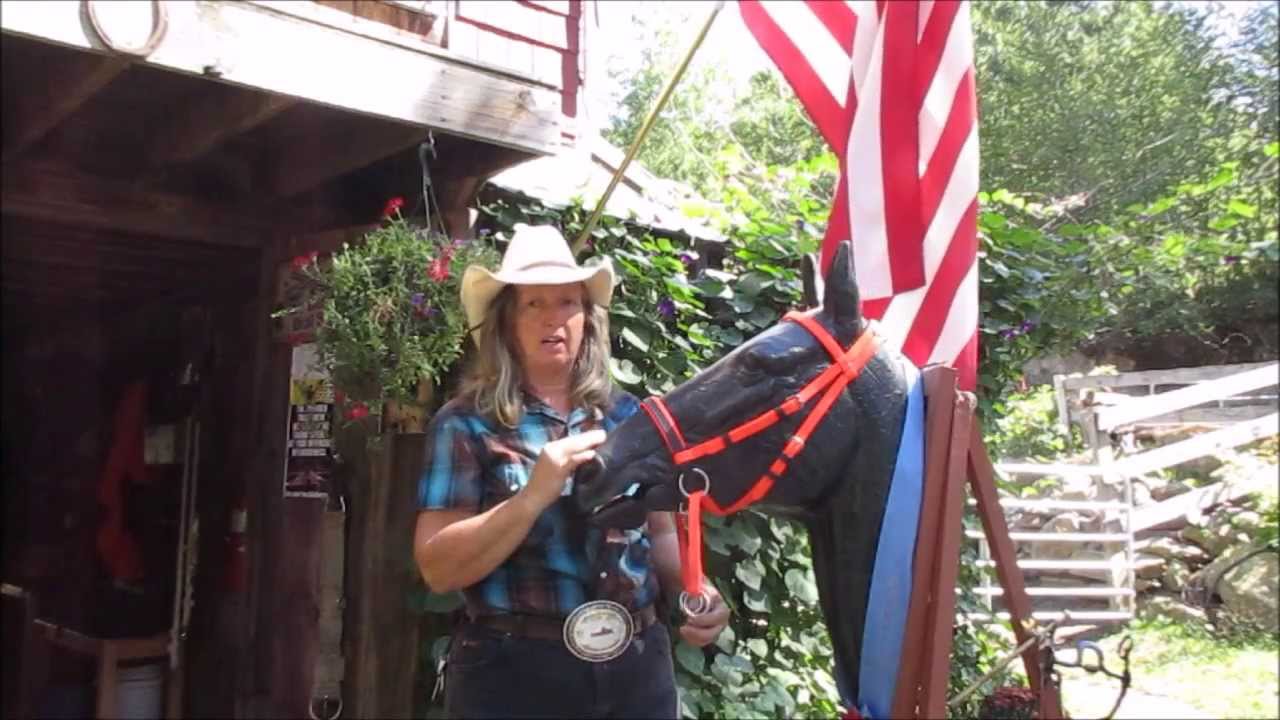 Dr. Cook's Cross Under Bitless Bridle - Facts and Fiction