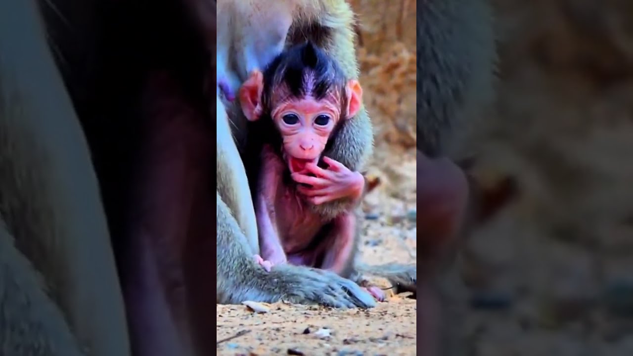 No Luck When Young Mother Button Don't Care....!