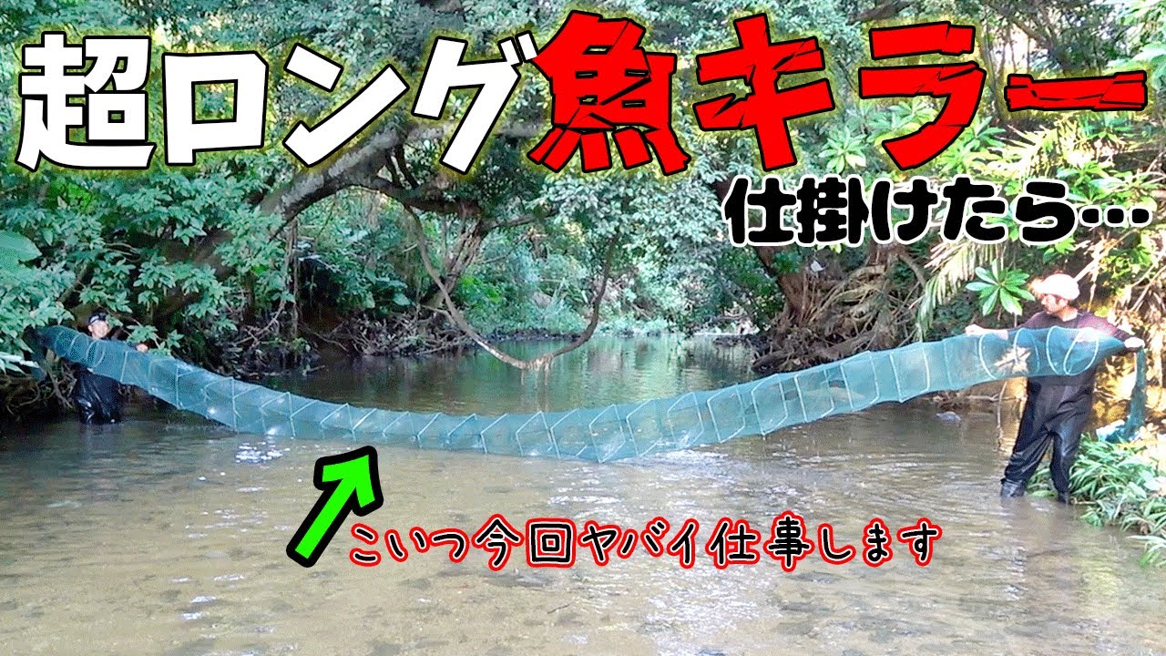 【#1】外来種ワールドの川に罠を仕掛けて伝説の龍を捕まえろ！【龍伝説】