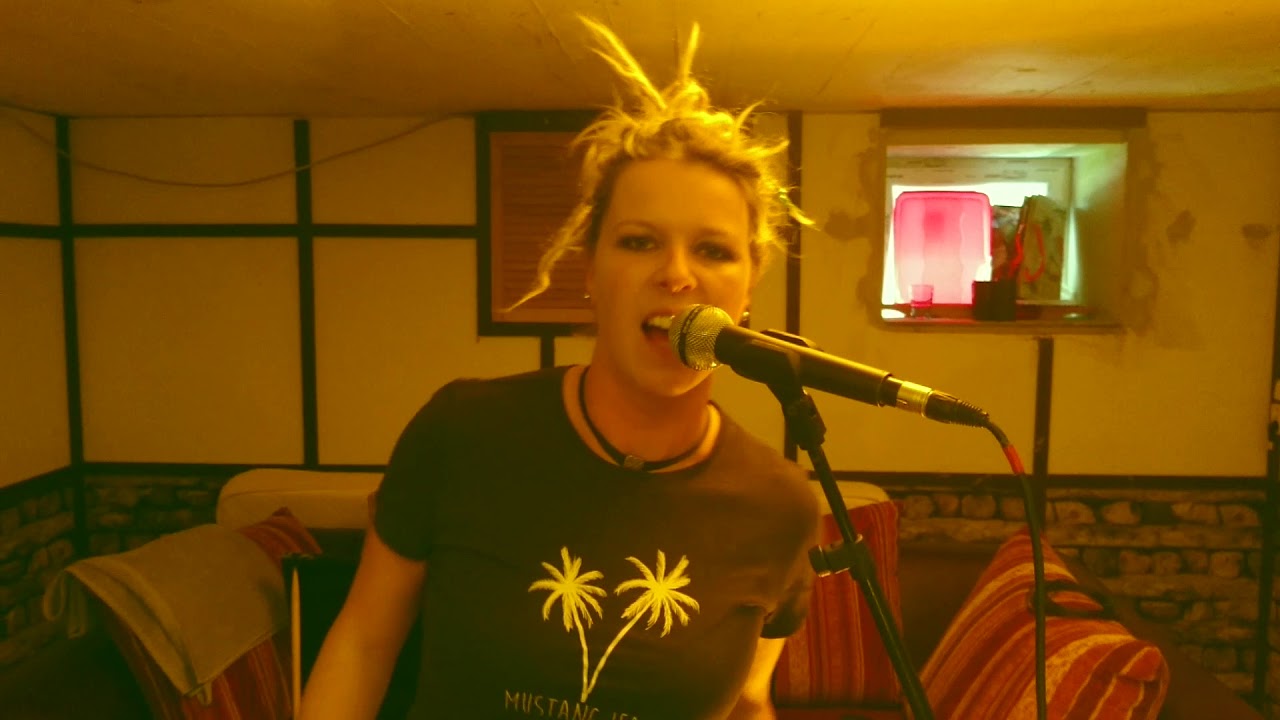Rockathome - Cockroach Cover Rock - All we are