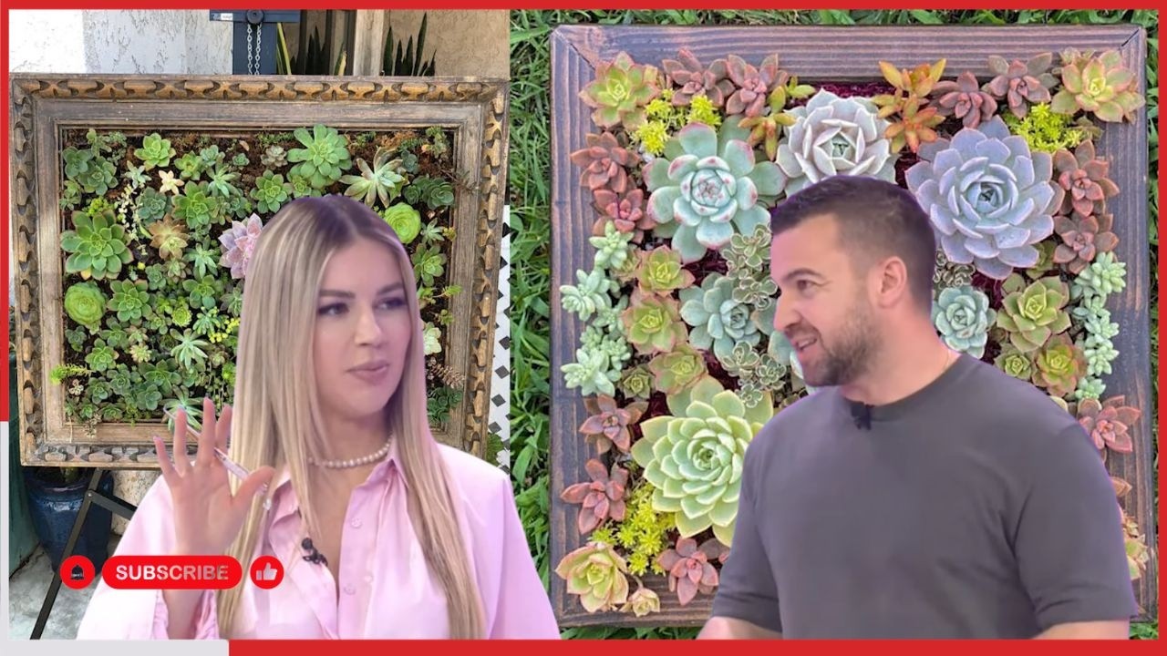 Ide kreative p&euml;r sht&euml;pi dhe kopshte | Eja te ne