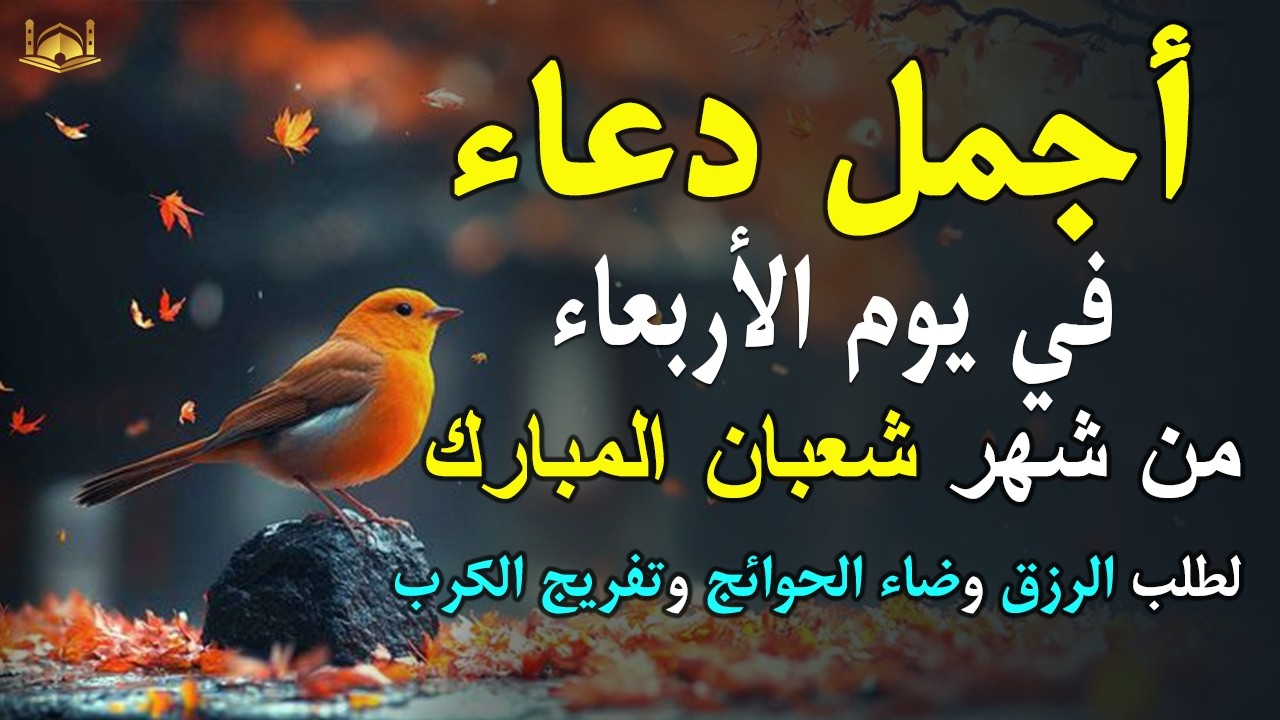 دعاء فى يوم الثلاثاء  المستجاب دعاء يوم 29 من شهر شعبان للرزق والشفاء العاجل وقضاء الحوائج 🤲4k