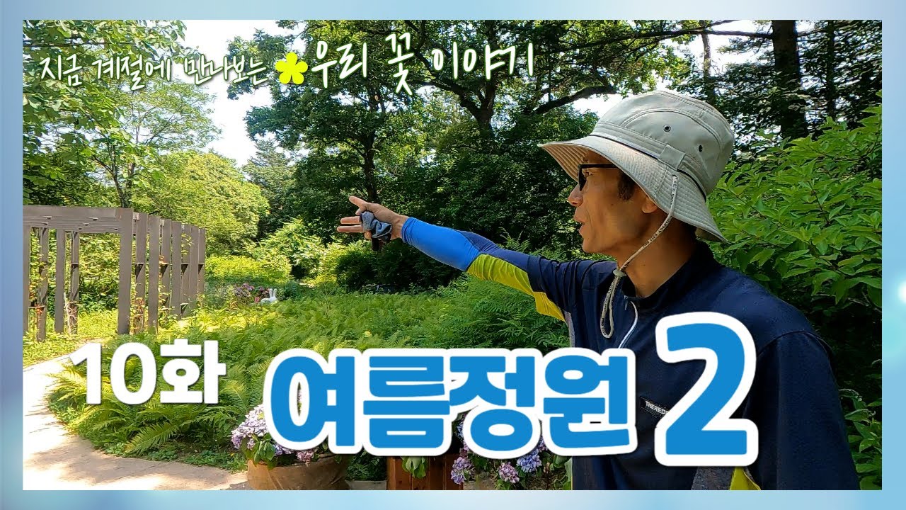 여름정원 2  [계절에 만나는 우리 꽃 이야기. 10화]